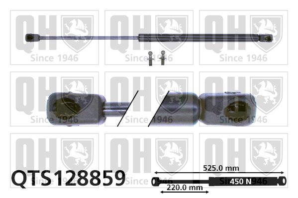 QUINTON HAZELL Газовая пружина, крышка багажник QTS128859